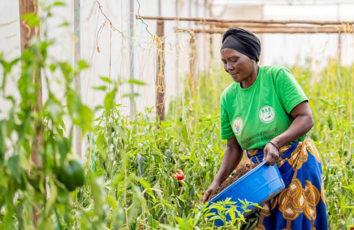 Rwanda Green House